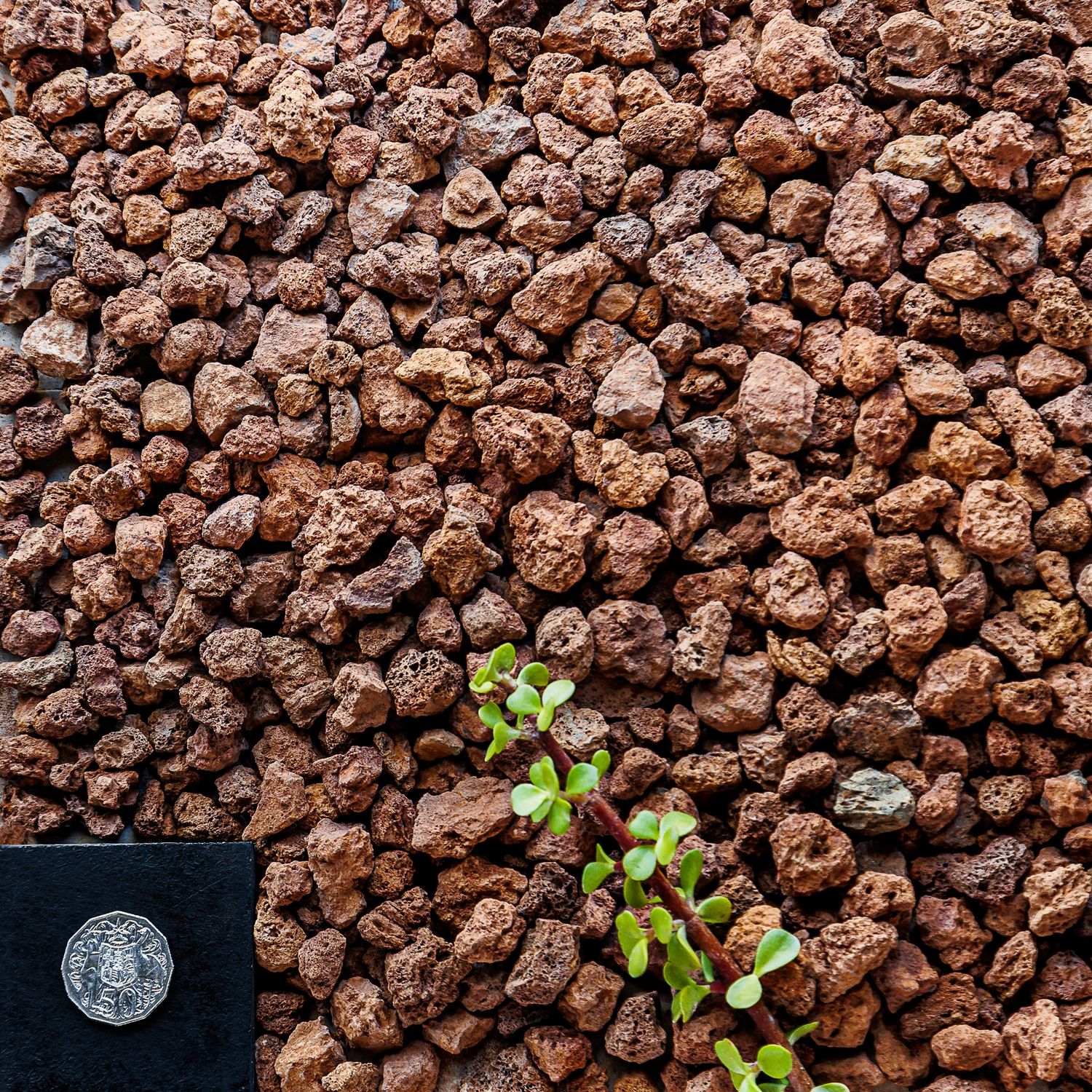 20mm Scoria Red - 20kg bag