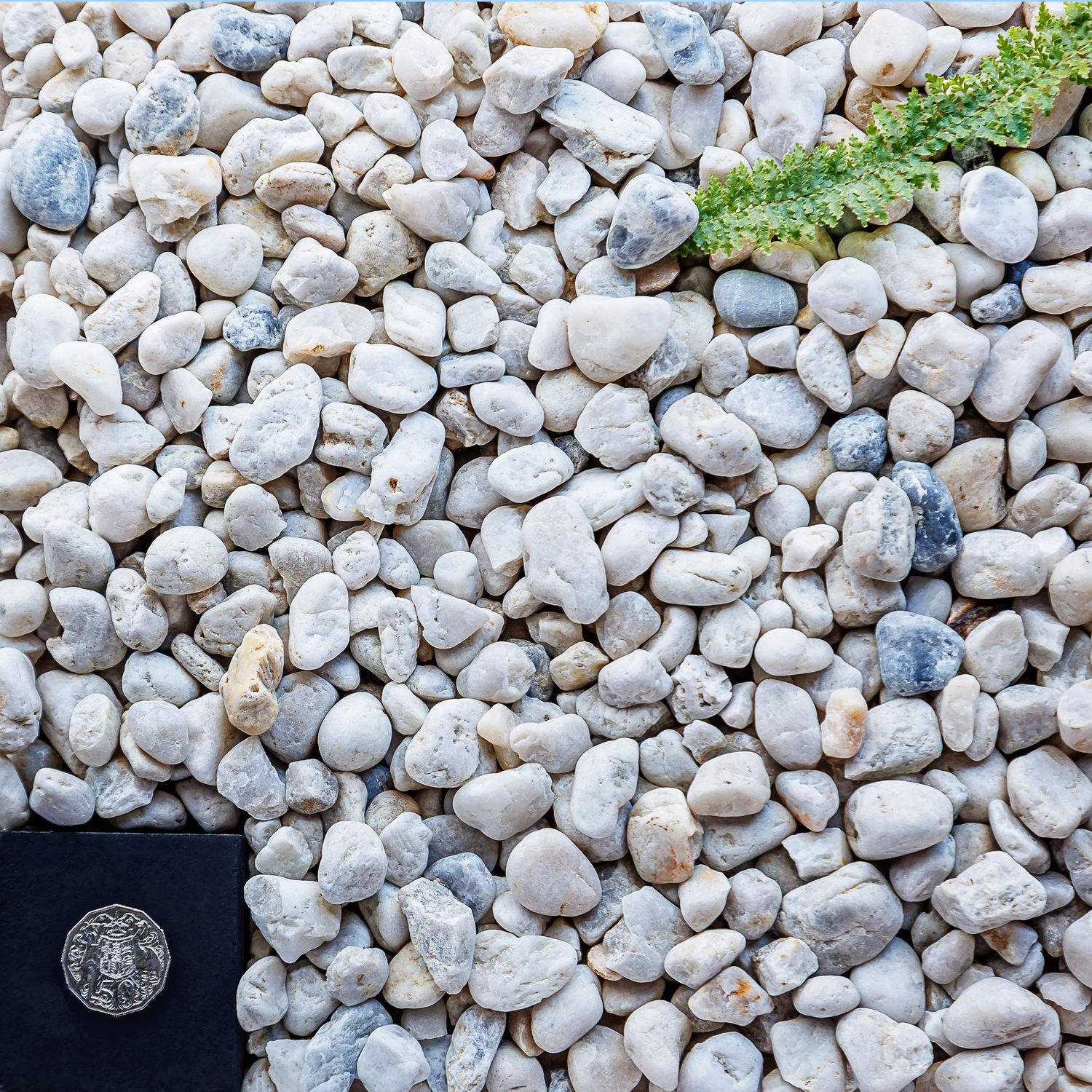 20mm White Quartz Pebble - 20kg bag