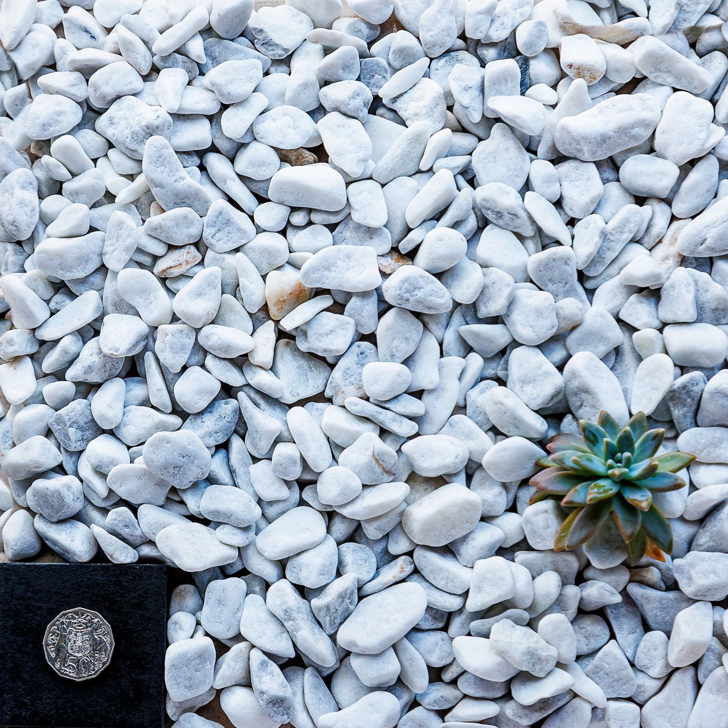 20MM SNOW WHITE TUMBLED 1 M3