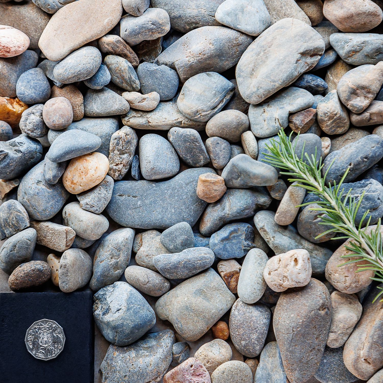 20-50MM COFFS HARBOUR PEBBLE - 20KG BAG