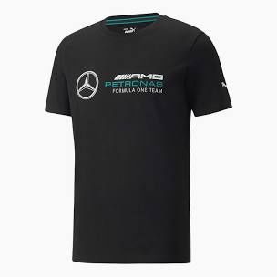 AMG TEE PETRONAS F1 TEAM