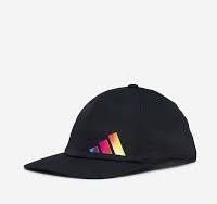 CITY ICON DAD HAT