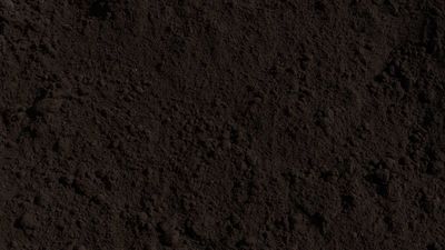Soil