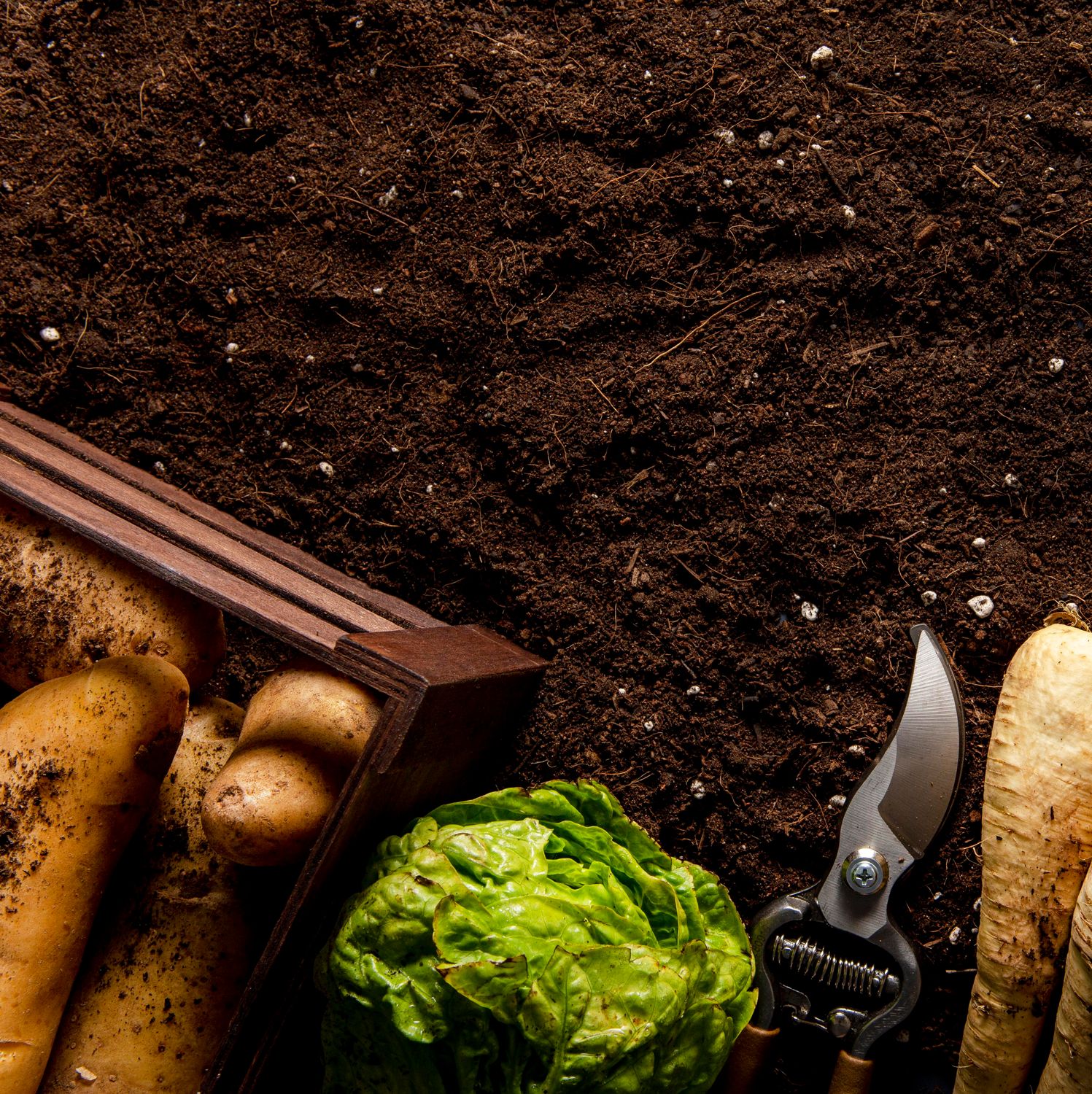 Premium Soil (Soil & Compost Mix) Premium Soil (Soil & Compost Mix)