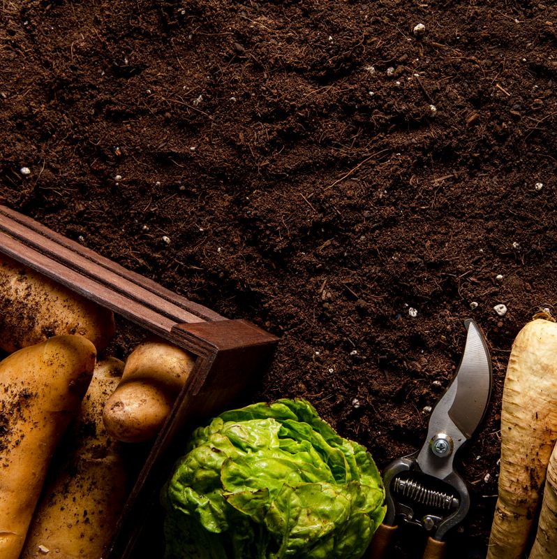 Premium Soil (Soil & Compost Mix)