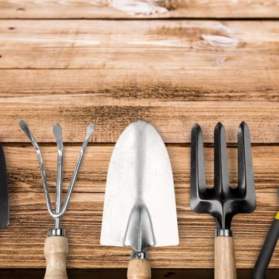 Tools & Accessories