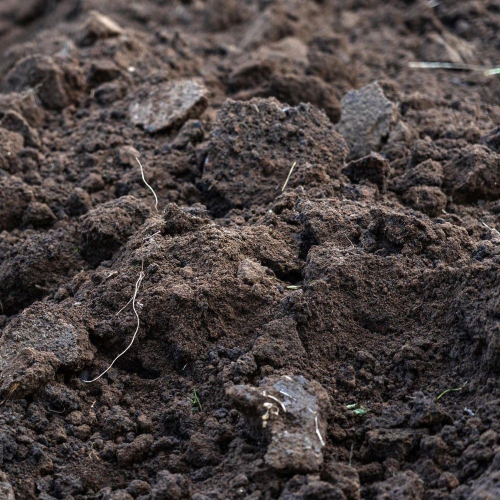 Unscreened Soil Unscreened Soil