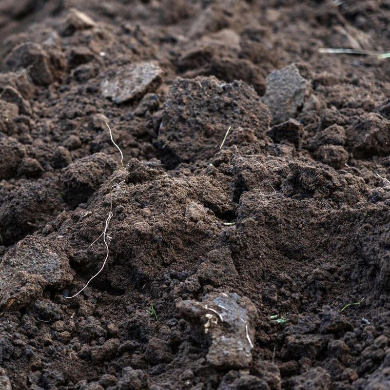 Unscreened Soil