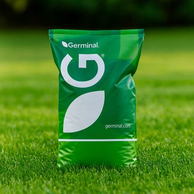 Landscape Lawn Grass Seed Landscape Lawn Grass Seed