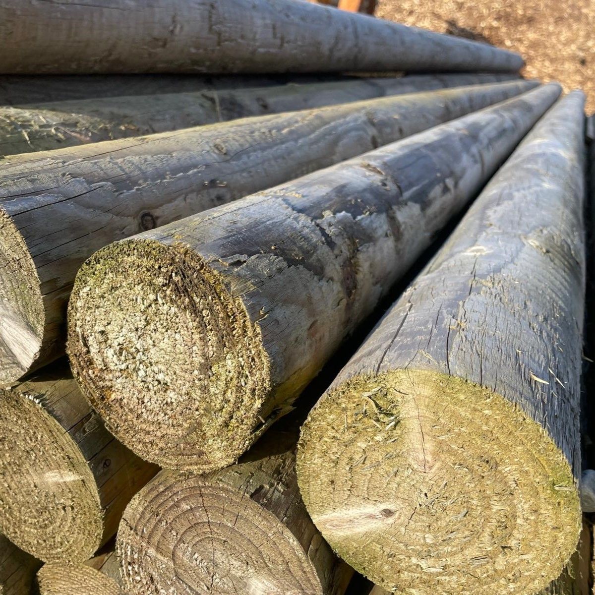 12' x 4 12' x 4" Pony Poles