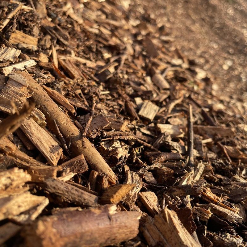 Woodchip Mulch Woodchip Mulch