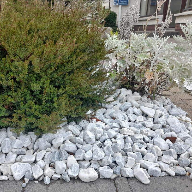 Pearl Grey Pebbles 20-40cm