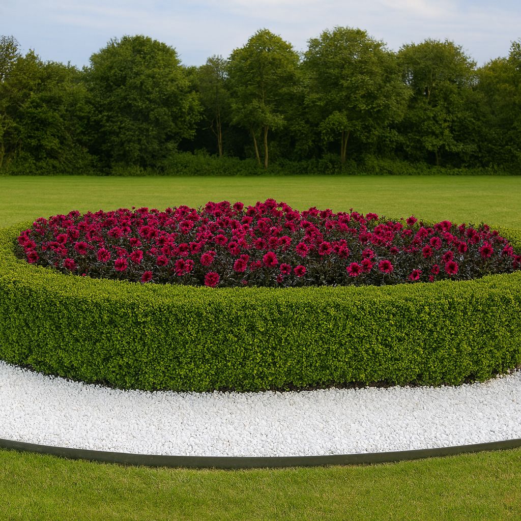 White Marble 10mm White Marble 10mm