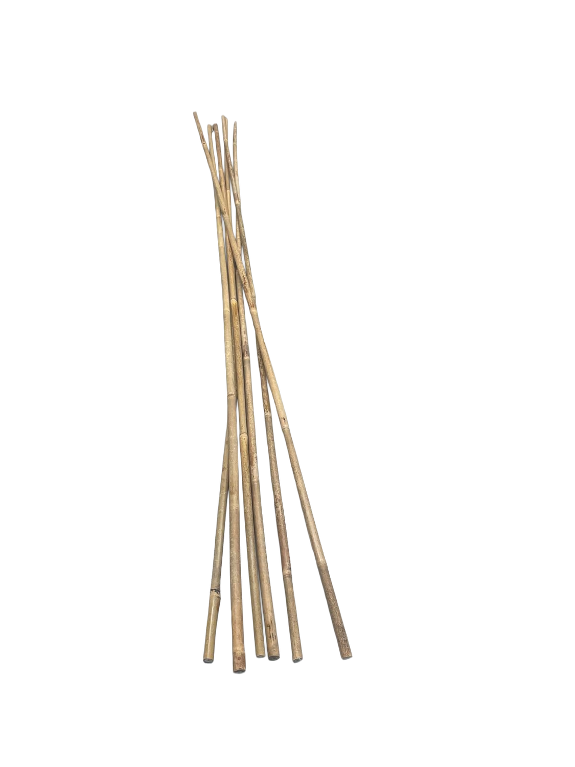 5' Bamboo Canes 5' Bamboo Canes
