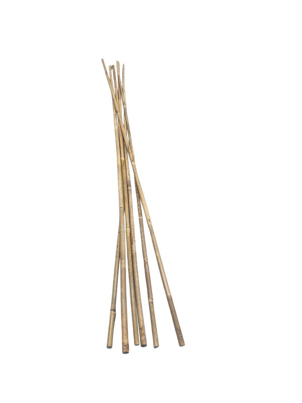 5' Bamboo Canes