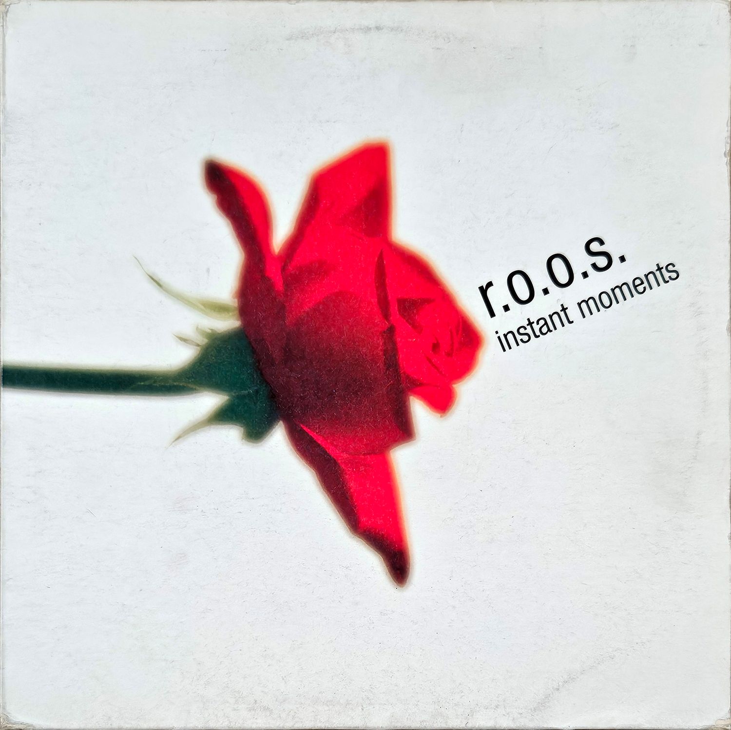 R.O.O.S. – INSTANT MOMENTS R.O.O.S. – INSTANT MOMENTS