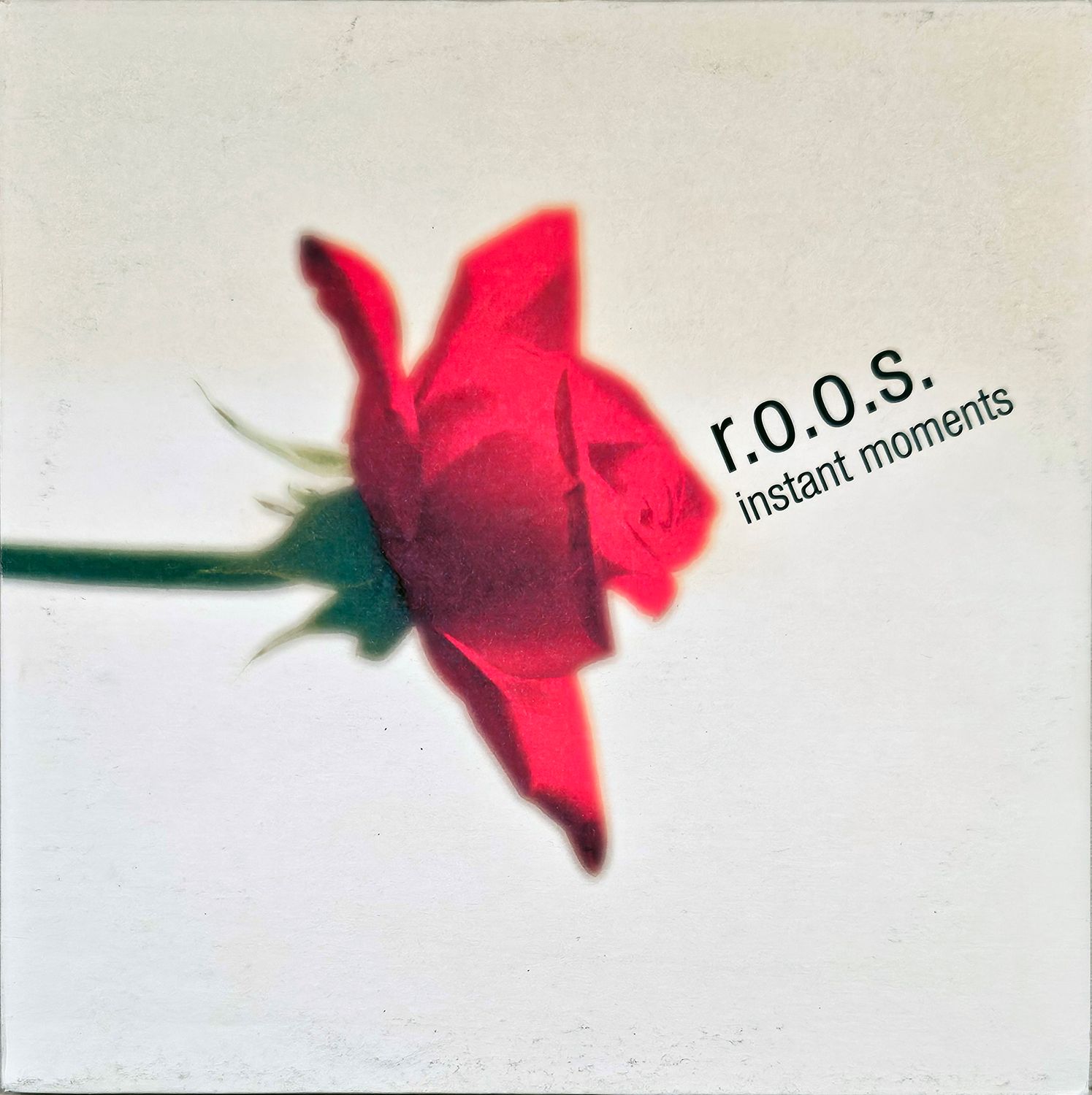 R.O.O.S. – INSTANT MOMENTS