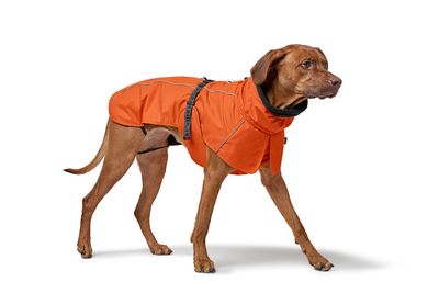 Kleding