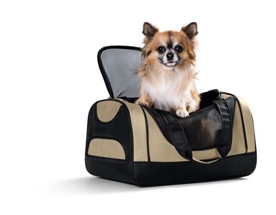 Reizen &amp; draagtassen