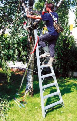 Echelles professionnelles agricoles