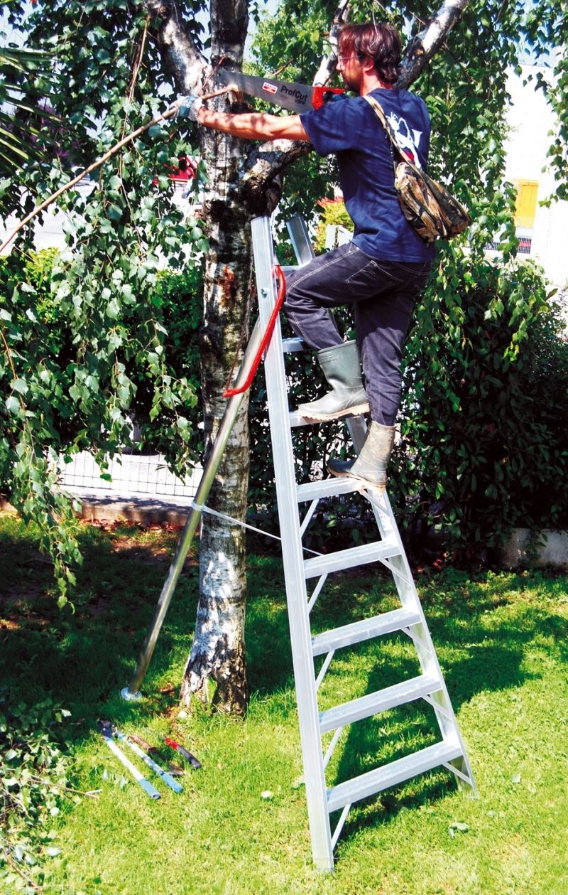 Echelle professionnelle agricole - 12 marches