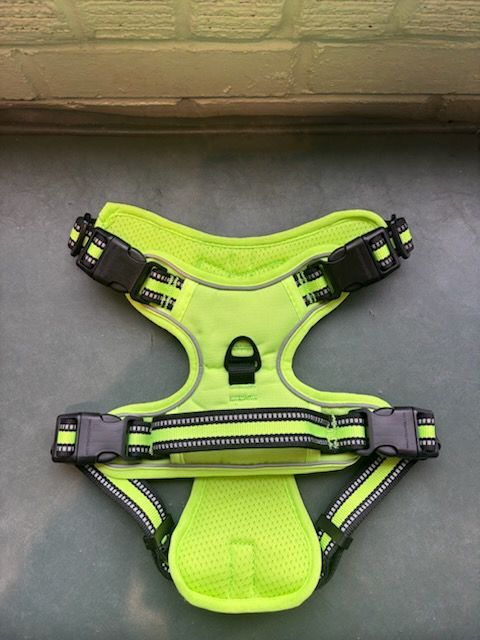 No Pull Dog Harness - Neon Yellow