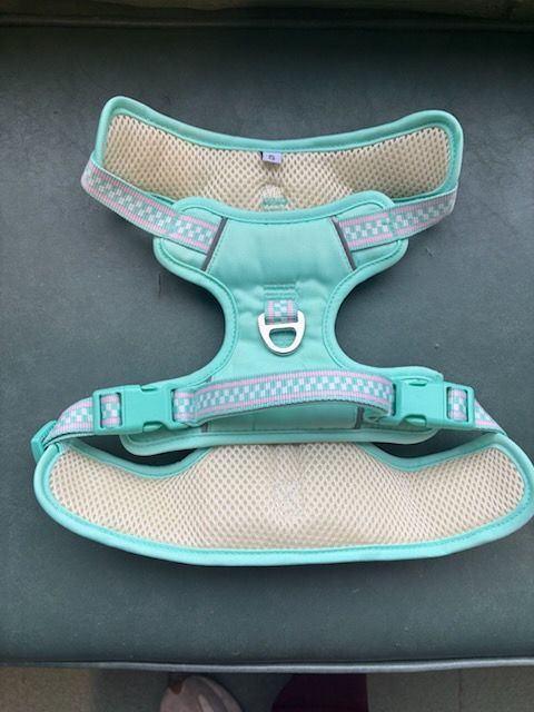 No Pull Dog Harness - Turquoise