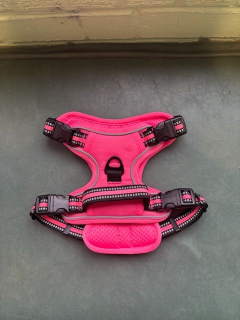 No Pull Dog Harness - Rose Red