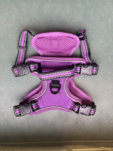 No Pull Dog Harness - Purple