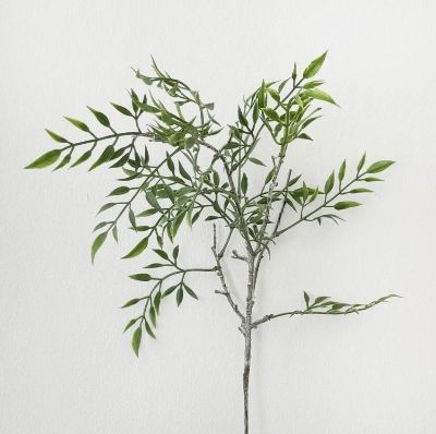 Mini Ruscus Spray 70cm