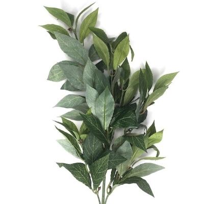 Bay Leaf Spray 74cm
