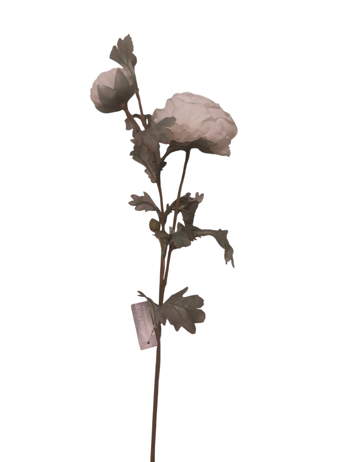 Cream Peony Stem 72cm