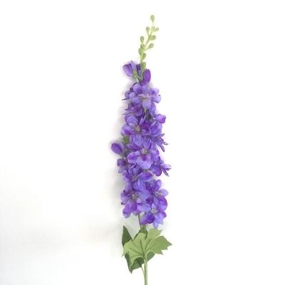 Delphinium