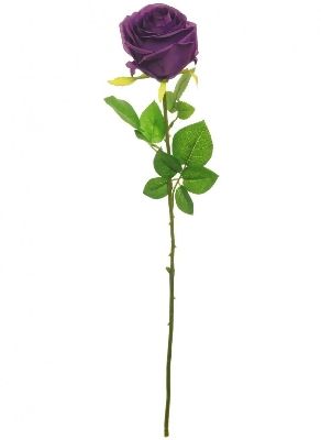 Purple Harper Rose 63cm