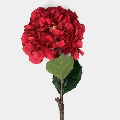 Red Hydrangea Short