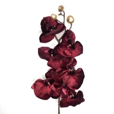 Red Luxury Phalaenopsis 76cm