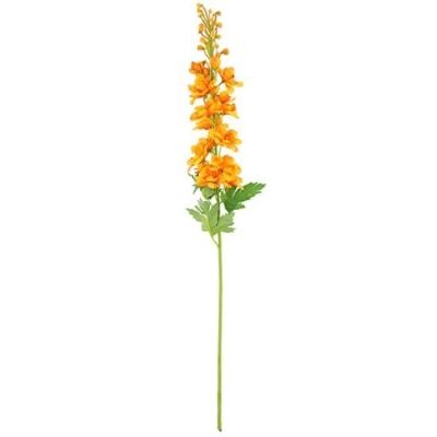 Orange Delphinium 79cm
