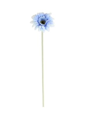 Dusky Blue Gerbera 54cm