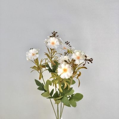 White Mini Dianthus Bush 37cm