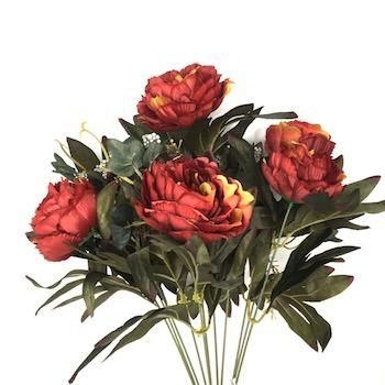 Burnt Red Autumn Peony Bush 48cm