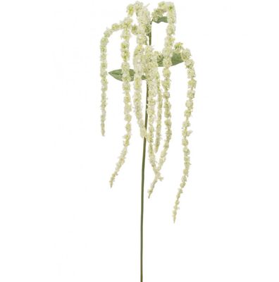 Amaranthus Spray