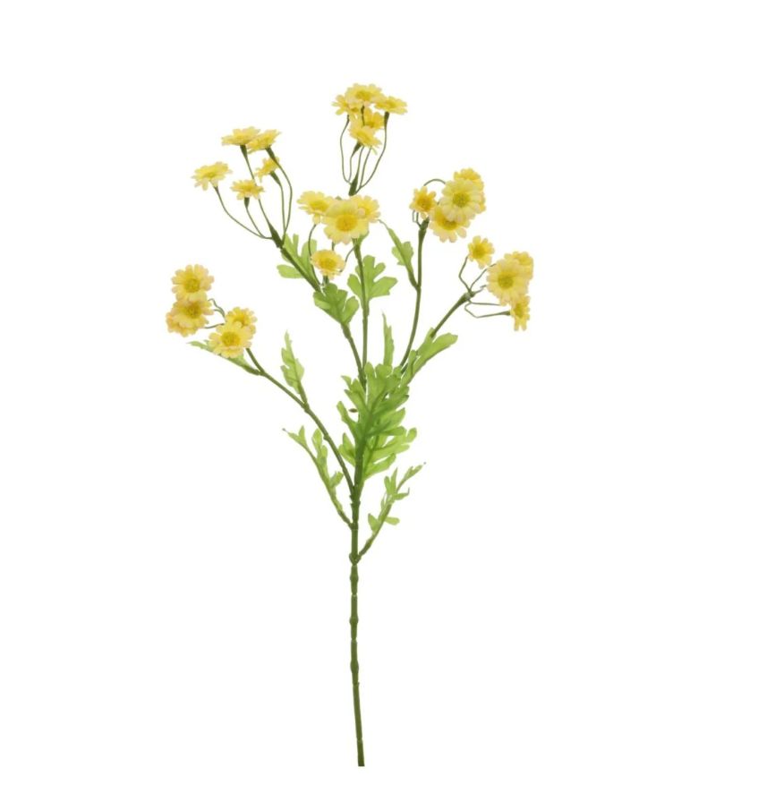 Wild Mini Daisy Spray