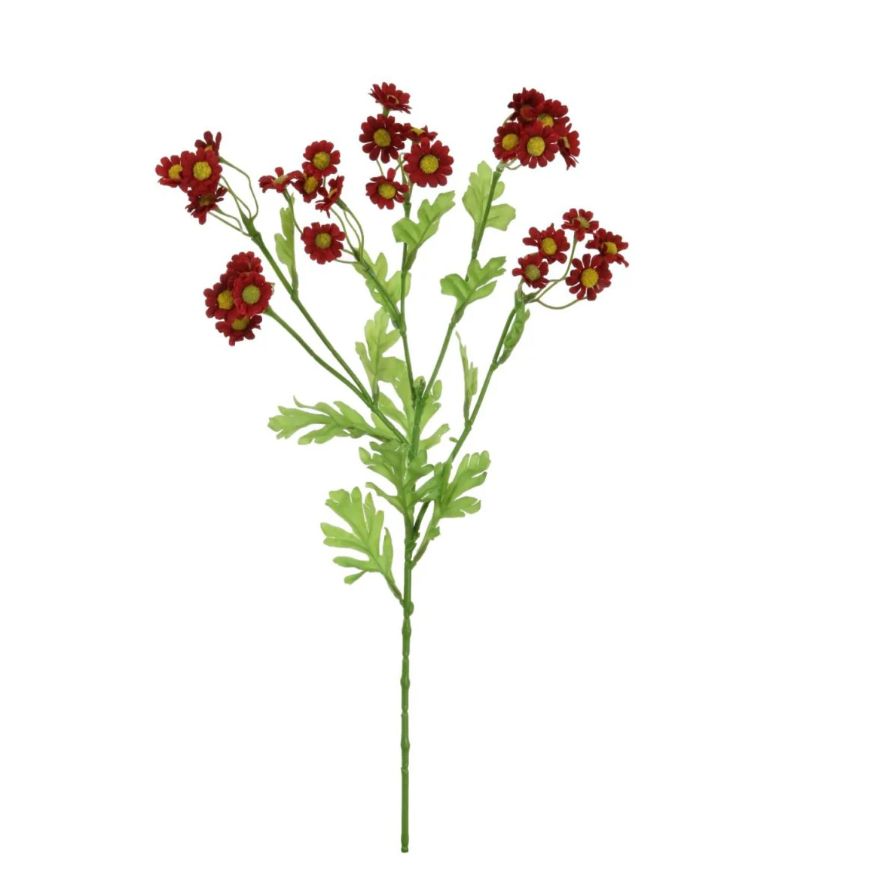 Wild Mini Daisy Spray