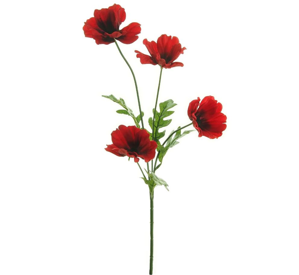 Small Wild Meadow Poppy Spray