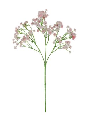 Baby&#39;s Breath Spray (gypsophila)
