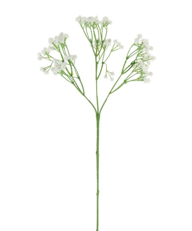 Baby&#39;s Breath Spray (gypsophila)