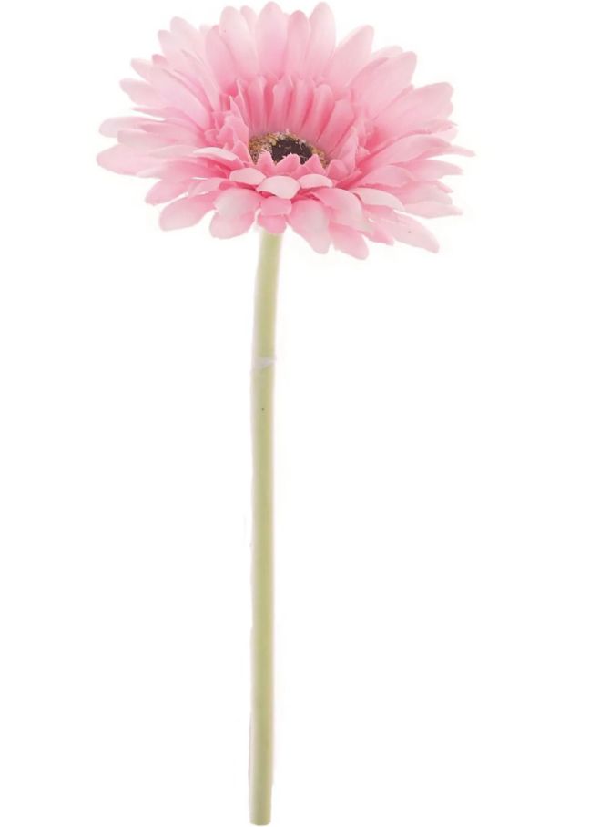 Small Gerbera Stem