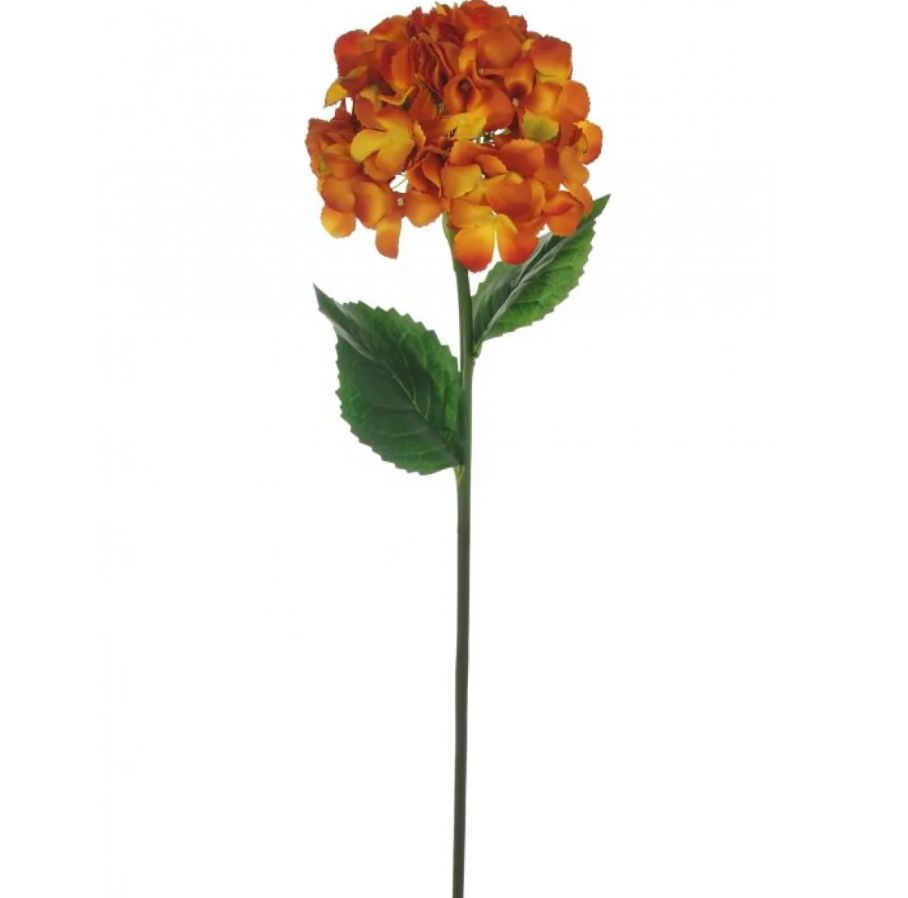 Mophead Hydrangea (large)