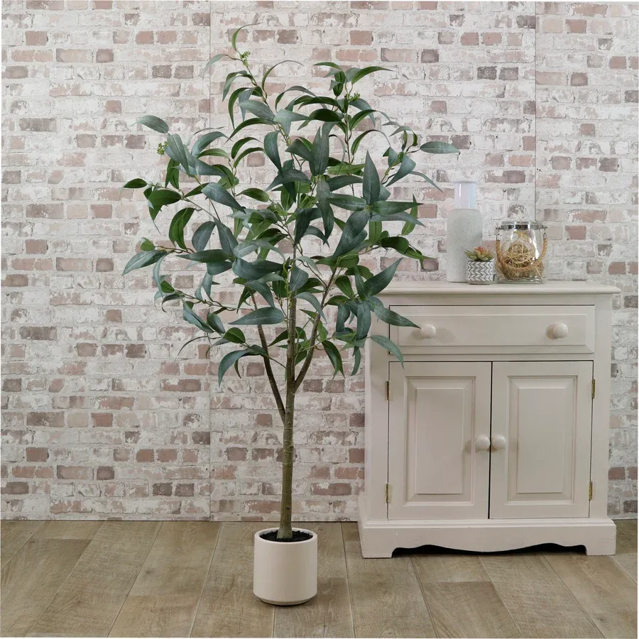 Eucalyptus Nicholii Tree 140cm