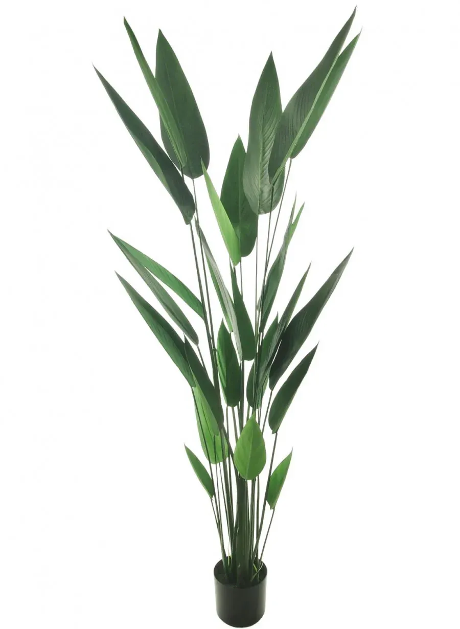 Large Paradise Tree 175cm